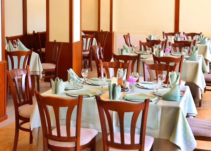 Хотел кипарис, Враца