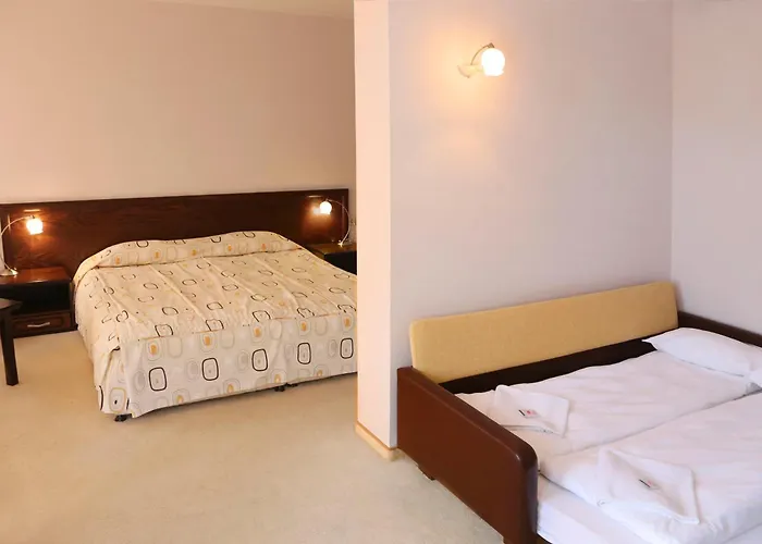 Хотел кипарис, Враца