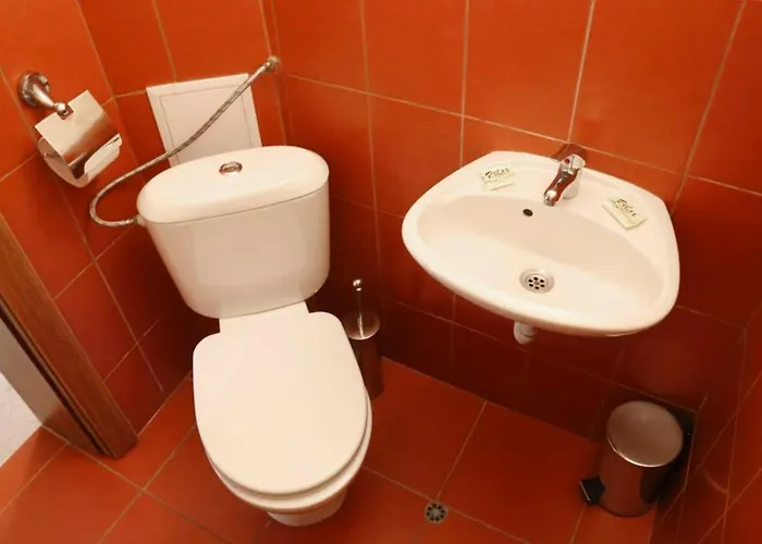 кипарис, 3* Враца